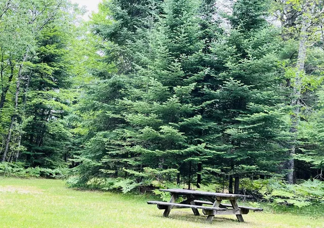 5th image of Old M-66, Garfield Township Kalkaska, MI 49633 | MLS# 78080071322