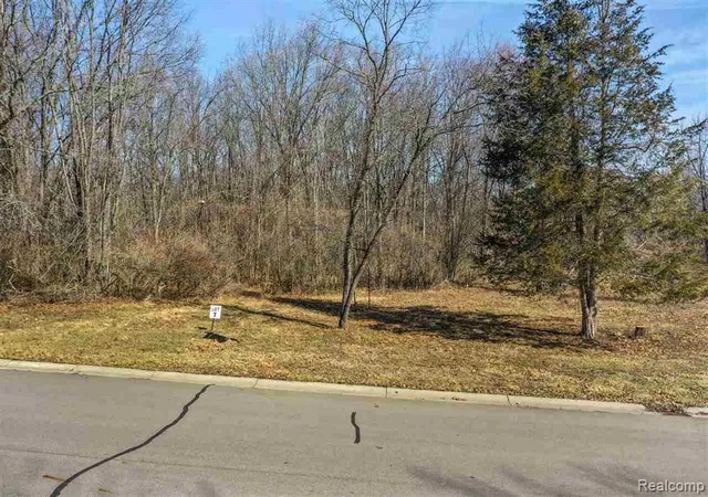 Land for sale at 3000 Rockingham Way Rd, Jackson, MI 49203 | MLS# 20261056495