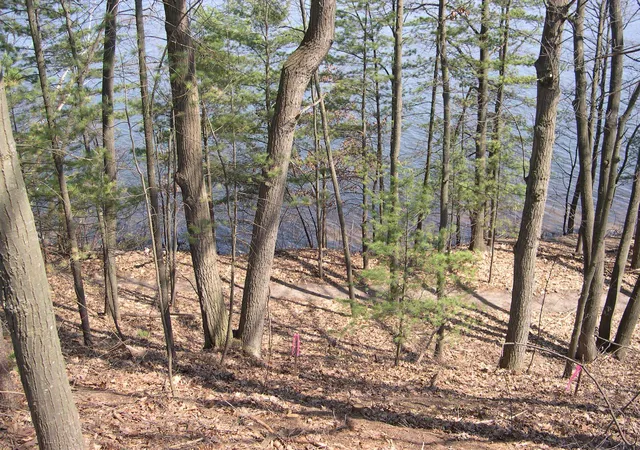1st image of 1597 Edgewater Rdg, Traverse City City Grand Traverse, MI 49684 | MLS# 78080071329