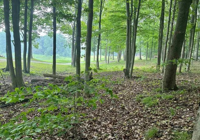 1st image of V/l 8 Forest Trl, Bellaire, MI 49615 | MLS# 78080071330