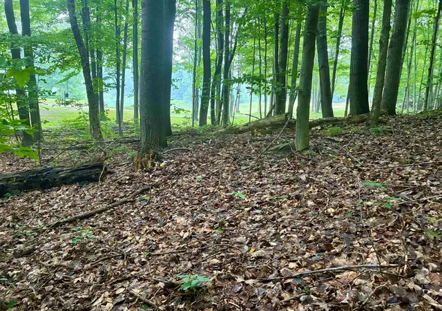 2nd image of V/l 8 Forest Trl, Bellaire, MI 49615 | MLS# 78080071330