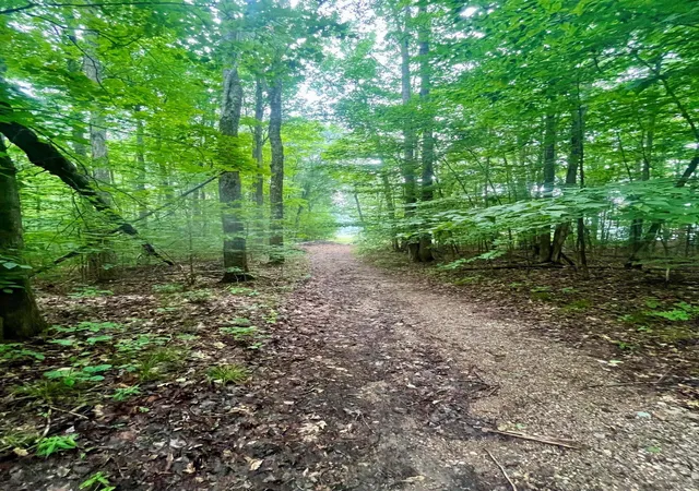 3rd image of V/L 8 Forest Trl, Bellaire, MI 49615 | MLS# 78080071330