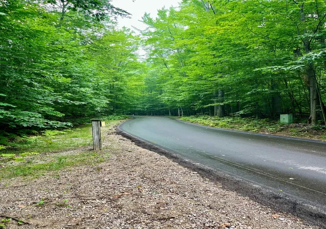 4th image of V/L 8 Forest Trl, Bellaire, MI 49615 | MLS# 78080071330