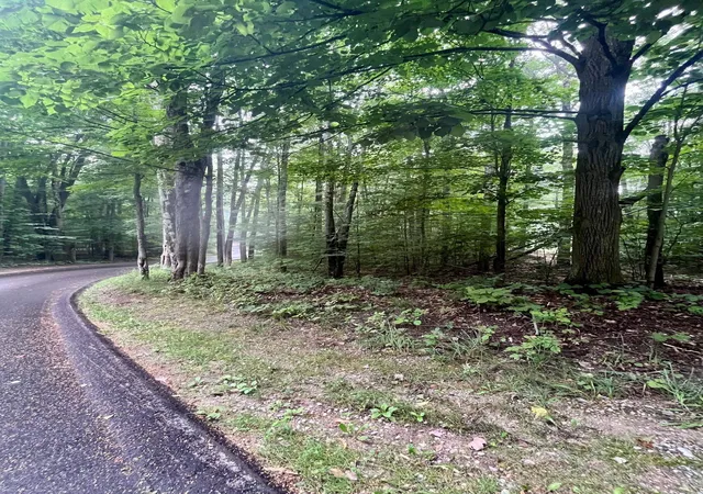 5th image of V/L 8 Forest Trl, Bellaire, MI 49615 | MLS# 78080071330