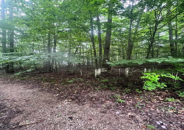 7th image of V/l 8 Forest Trl, Bellaire, MI 49615 | MLS# 78080071330