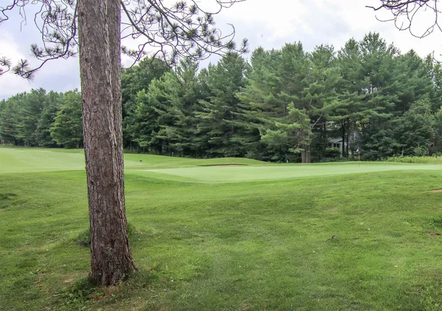 55th image of 7705 Platte Plains Trl, Thompsonville, MI 49683 | MLS# 78080071350