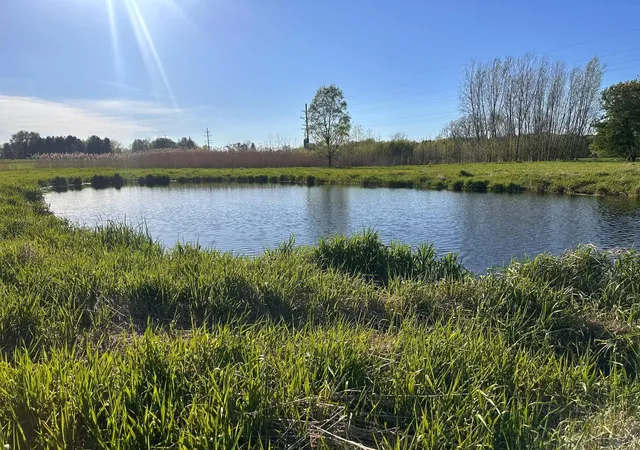 Photo 2 of Land for sale at 9999 Barnes Rd, Mayville, MI 48744 | MLS# 61050215812 | Listing updated on 2026-07-22