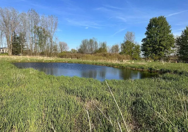 Photo 3 of Land for sale at 9999 Barnes Rd, Mayville, MI 48744 | MLS# 61050215812 | Listing updated on 2026-07-22