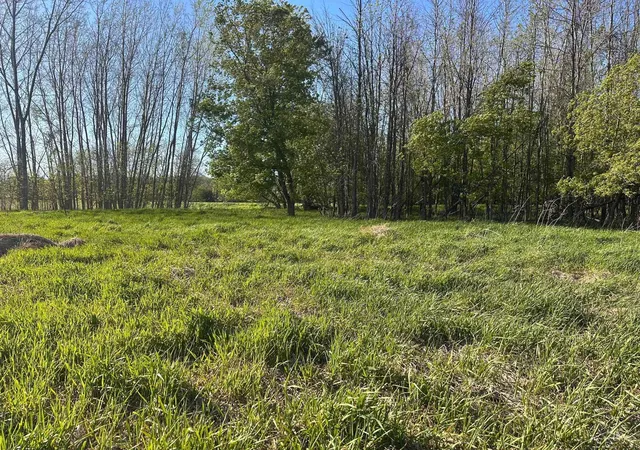 Photo 3 of Land for sale at 9999 Barnes Rd, Mayville, MI 48744 | MLS# 61050215812 | Listing updated on 2026-07-22