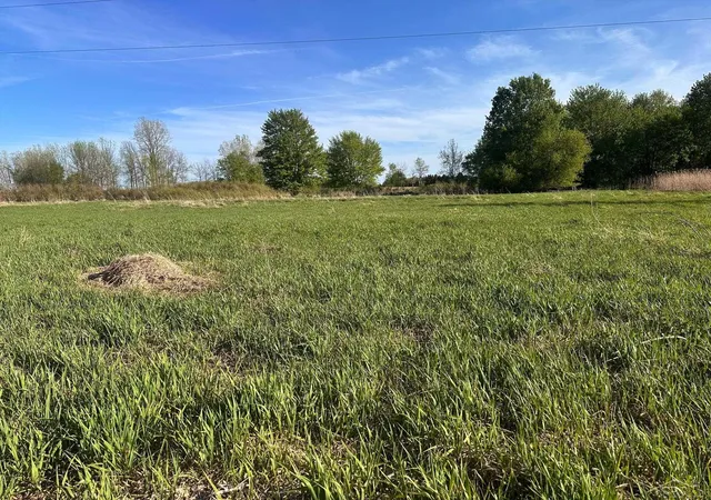 Photo 4 of Land for sale at 9999 Barnes Rd, Mayville, MI 48744 | MLS# 61050215812 | Listing updated on 2026-07-22