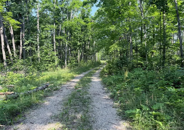 1st image of Vl Mckee Rd, Vienna Township Montmorency, MI 49751 | MLS# 20261057056