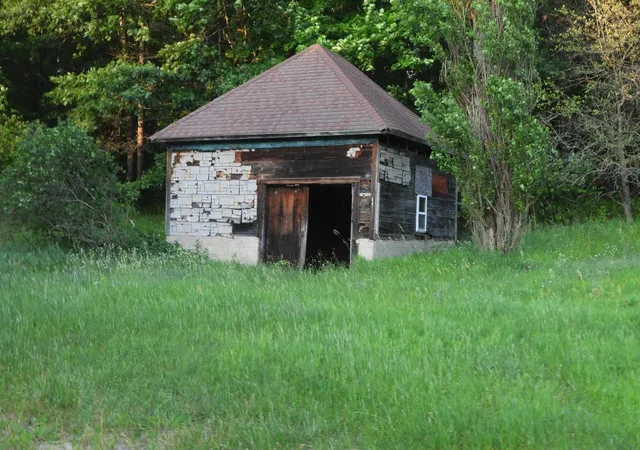 3rd image of 7439 E 22 1/2 Rd, Manton, MI 49663 | MLS# 78080071381