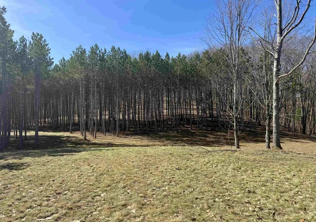 Photo 4 of Land for sale at 3041 Dockery Rd NW, Williamsburg, MI 49690 | MLS# 78080071382 | Listing updated on 2026-07-26