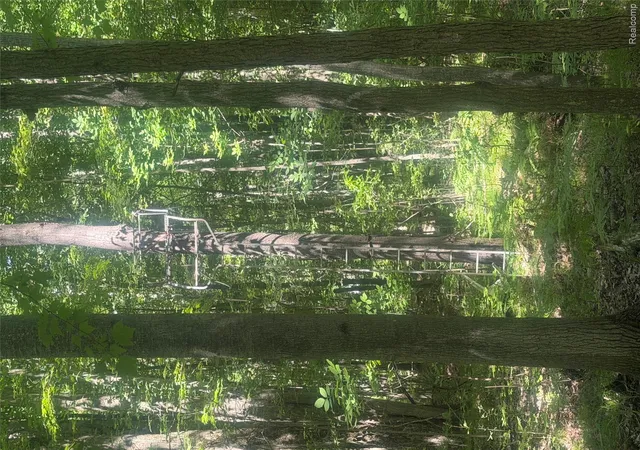 Land for sale at Chamber N Rd Chambers, Mayville, MI 48744 | MLS# 20261057169