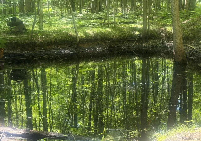 Photo 2 of Land for sale at Chamber N Rd Chambers, Mayville, MI 48744 | MLS# 20261057169 | Listing updated on 2026-07-23