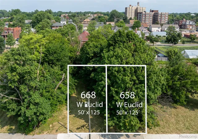 Photo 3 of Land for sale at 668 W Euclid St, Detroit, MI 48202 | MLS# 20261057195 | Listing updated on 2026-08-01