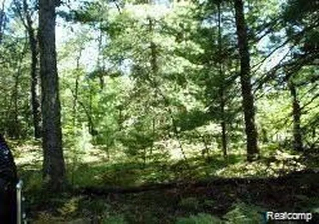 1st image of 789 E Logan Blvd, Idlewild, MI 49642 | MLS# 20261057197
