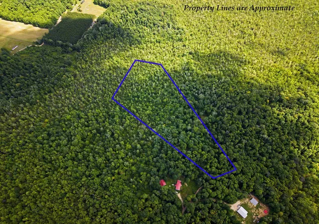 Photo 1 of Land for sale at 5333 Se Wintergreen Trl, Kalkaska, MI 49646 | MLS# 78080071393 | Listing updated on 2026-07-26