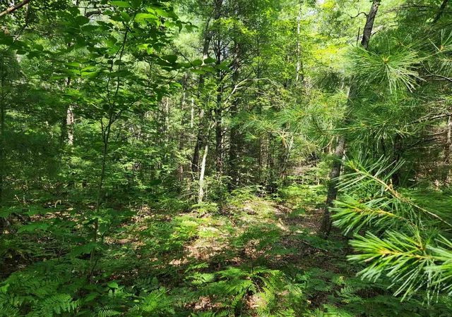 12th image of 500 East Trl, Kalkaska, MI 49646 | MLS# 78080071407