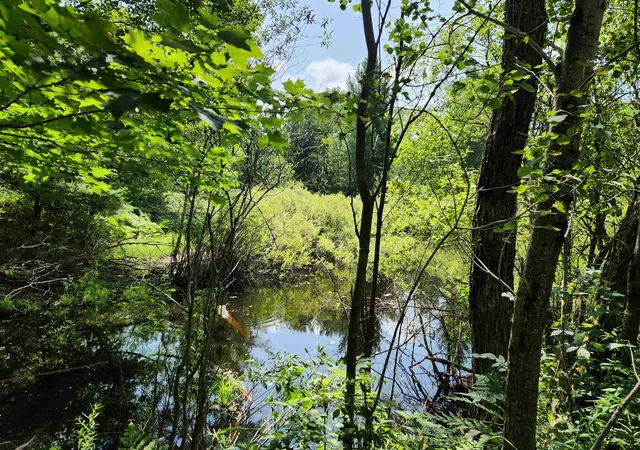 1st image of 500 East Trl, Kalkaska, MI 49646 | MLS# 78080071407