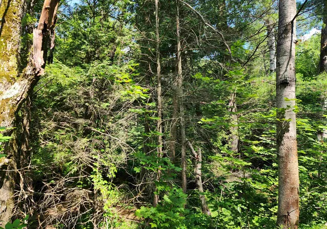 2nd image of 500 East Trl, Kalkaska, MI 49646 | MLS# 78080071407