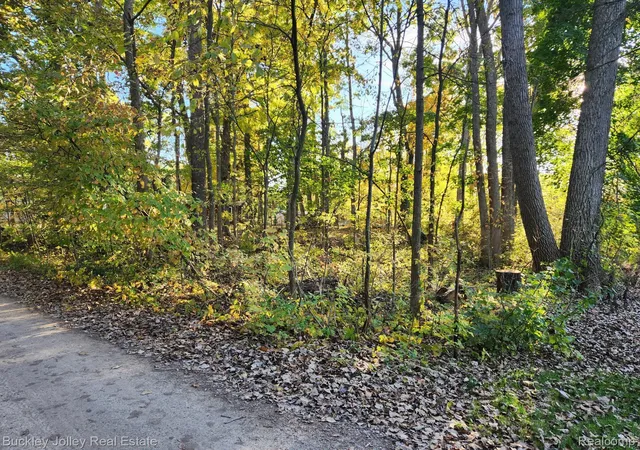Land for sale at 0000 Van Horn Dr, Pinckney, MI 48169 | MLS# 20261057317