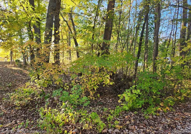 Photo 2 of Land for sale at 0000 Van Horn Dr, Pinckney, MI 48169 | MLS# 20261057317 | Listing updated on 2026-07-23