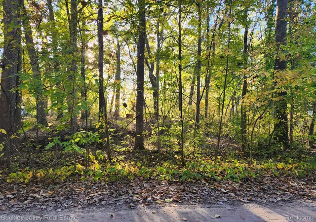 Photo 3 of Land for sale at 0000 Van Horn Dr, Pinckney, MI 48169 | MLS# 20261057317 | Listing updated on 2026-07-23
