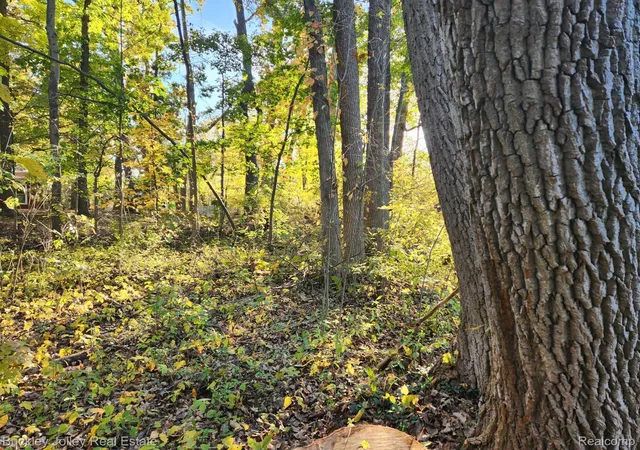Photo 4 of Land for sale at 0000 Van Horn Dr, Pinckney, MI 48169 | MLS# 20261057317 | Listing updated on 2026-07-23