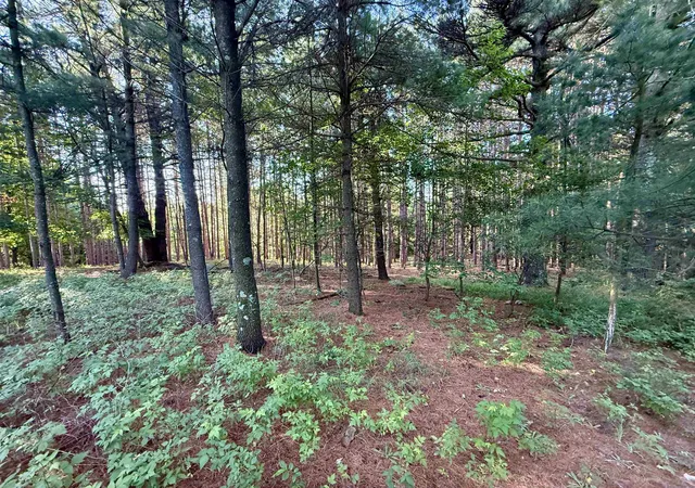 2nd image of 0015 S Westview Dr, Empire, MI 49630 | MLS# 78080071417