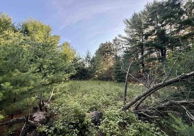 3rd image of 0015 S Westview Dr, Empire, MI 49630 | MLS# 78080071417