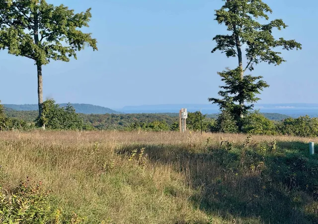 2nd image of 0000 W Timber Wolf Ct, Empire Township Leelanau, MI 49630 | MLS# 78080071427