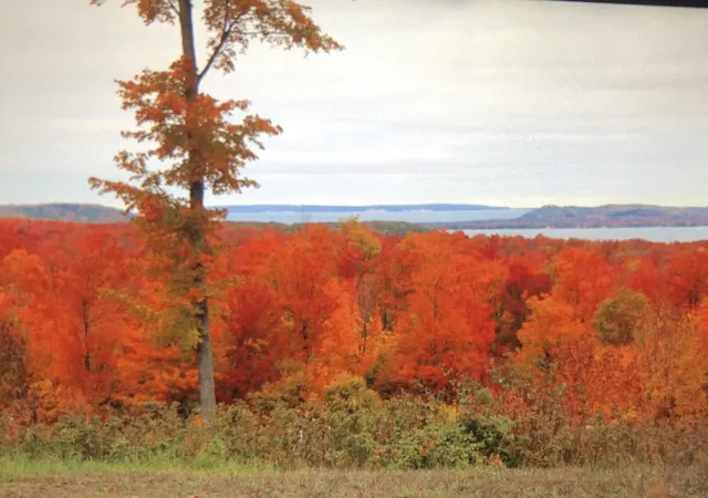 4th image of 0000 W Timber Wolf Ct, Empire Township Leelanau, MI 49630 | MLS# 78080071427