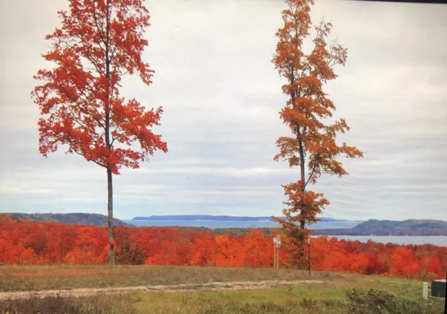 5th image of 0000 W Timber Wolf Ct, Empire Township Leelanau, MI 49630 | MLS# 78080071427