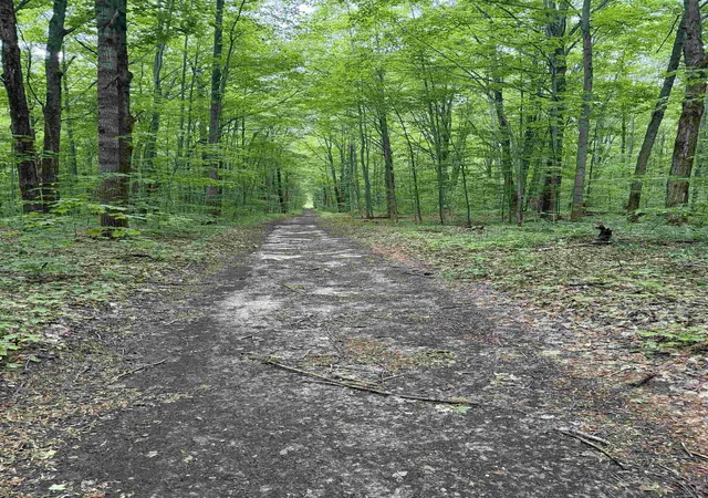 3rd image of Parcel B Mancelona Rd, Mancelona Township Antrim, MI 49659 | MLS# 78080071430