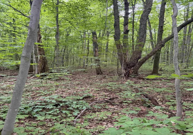 4th image of Parcel B Mancelona Rd, Mancelona Township Antrim, MI 49659 | MLS# 78080071430