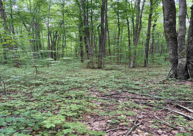 5th image of Parcel B Mancelona Rd, Mancelona Township Antrim, MI 49659 | MLS# 78080071430