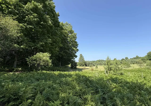 Photo 2 of Land for sale at 50 Se Acres Campbell Rd, Garfield Township Kalkaska, MI 49633 | MLS# 78080071449 | Listing updated on 2026-09-23