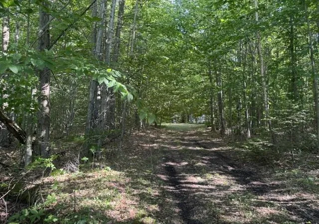 Photo 2 of Land for sale at V/l Phelps Rd, Norwich Township Missaukee, MI 49651 | MLS# 78080071450 | Listing updated on 2026-08-05