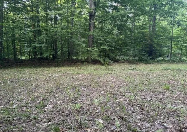 Photo 3 of Land for sale at V/l Phelps Rd, Norwich Township Missaukee, MI 49651 | MLS# 78080071450 | Listing updated on 2026-08-05