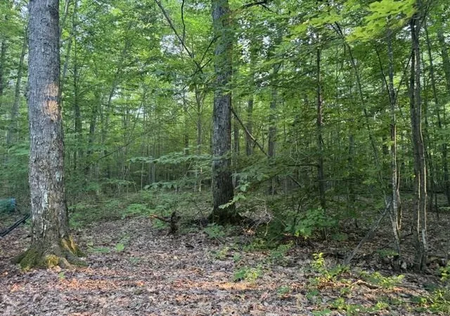 Photo 5 of Land for sale at V/l Phelps Rd, Norwich Township Missaukee, MI 49651 | MLS# 78080071450 | Listing updated on 2026-08-05