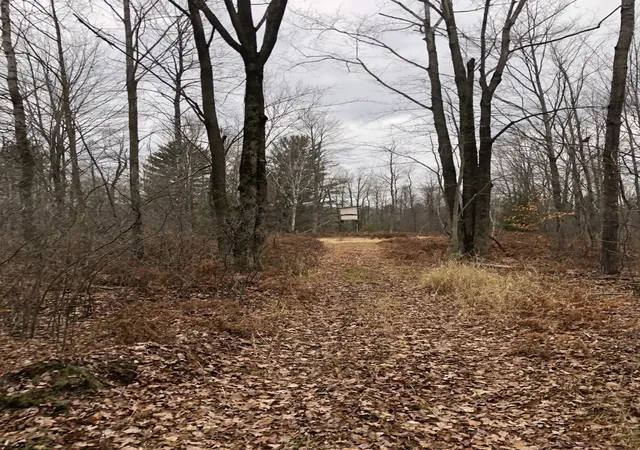 43rd image of 3198 National City Rd, Turner, MI 48765 | MLS# 79080071458