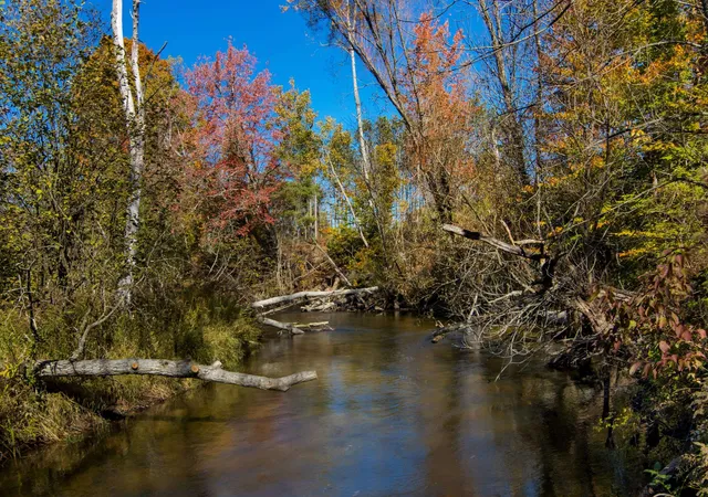 1st image of Parcels A Wild River Wy, Springdale Township Manistee, MI 49683 | MLS# 78080071473