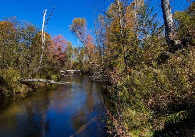 2nd image of Parcels A Wild River Wy, Springdale Township Manistee, MI 49683 | MLS# 78080071473