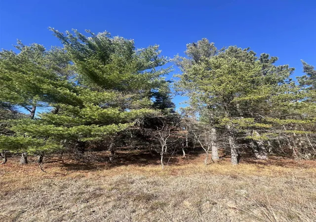 2nd image of 0000 E North Down River Rd, Grayling, MI 49738 | MLS# 78080071480