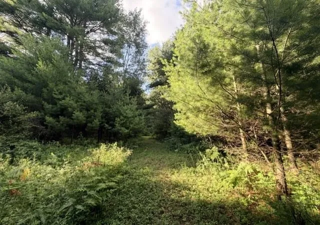 1st image of 00 Timreck Rd, Tawas City, MI 48763 | MLS# 77080071488