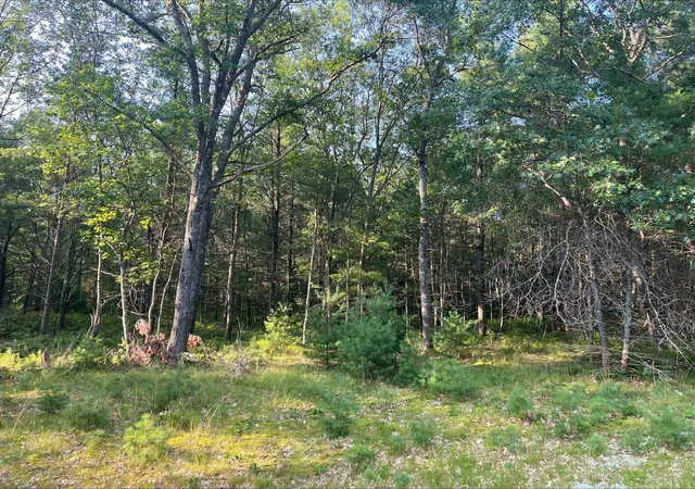 1st image of 0 Mackenzie Rd, Oscoda, MI 48750 | MLS# 77080071509
