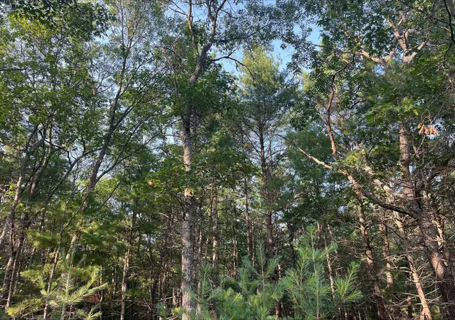 Photo 2 of Land for sale at 0 Mackenzie Rd, Oscoda, MI 48750 | MLS# 77080071509 | Listing updated on 2026-08-31