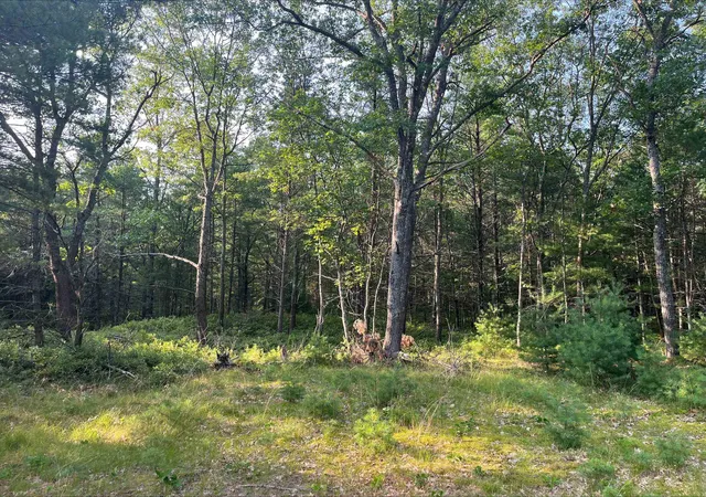 Photo 3 of Land for sale at 0 Mackenzie Rd, Oscoda, MI 48750 | MLS# 77080071509 | Listing updated on 2026-08-31