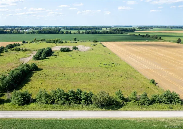 Photo 2 of Land for sale at Vacant Land 2 Wellman Line, Yale, MI 48097 | MLS# 20261057959 | Listing updated on 2026-07-29
